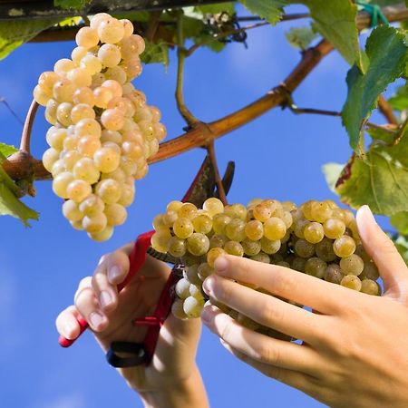 Hotel Rural Reguengo De Melgaço Zewnętrze zdjęcie